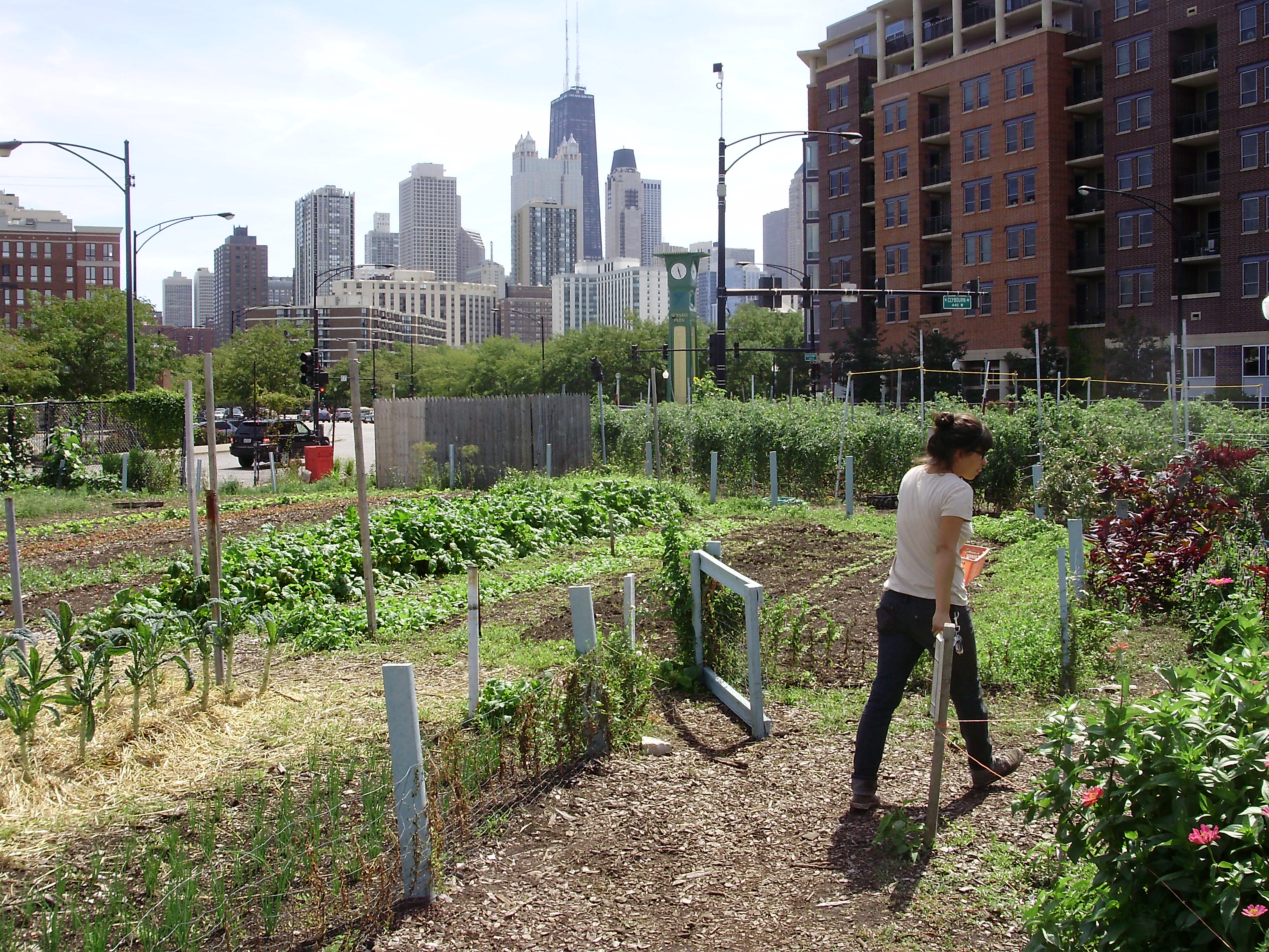 City Farmer logo